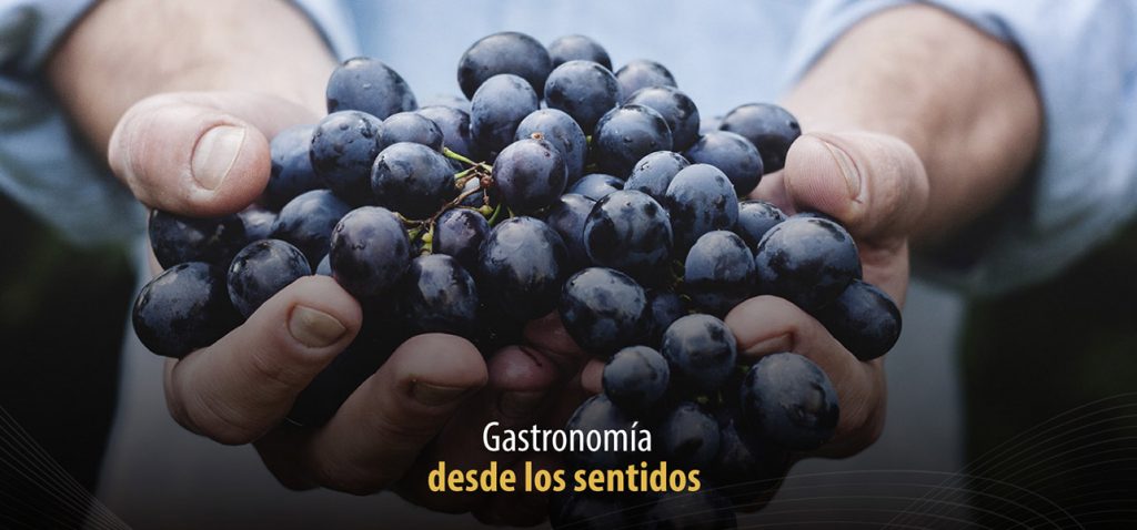 colegiatura_gastronomía