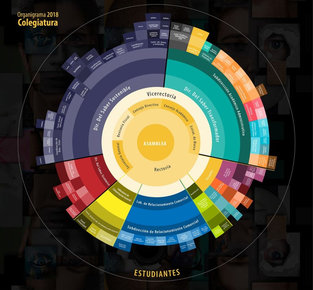 Organigrama COLEGIATURA